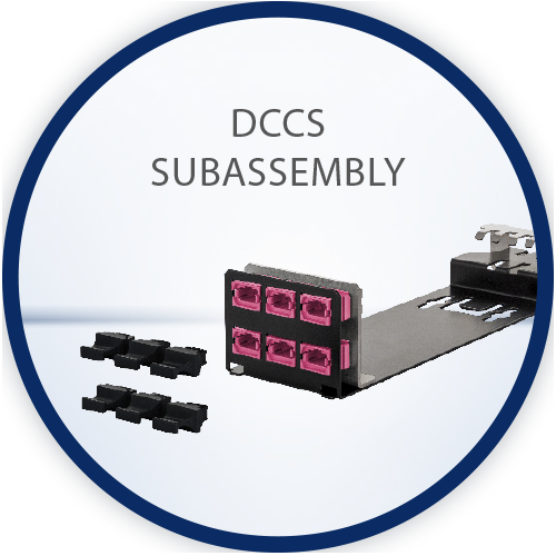 DCCS subassembly
