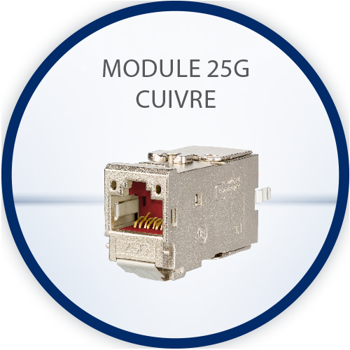 Module 25G cuivre
