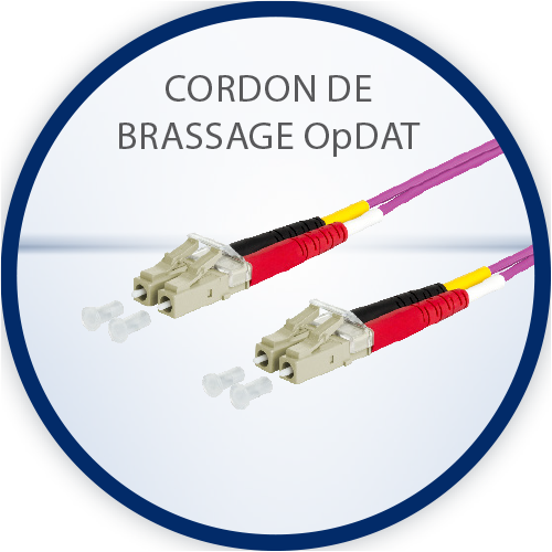 Cordon de brassage OpDAT