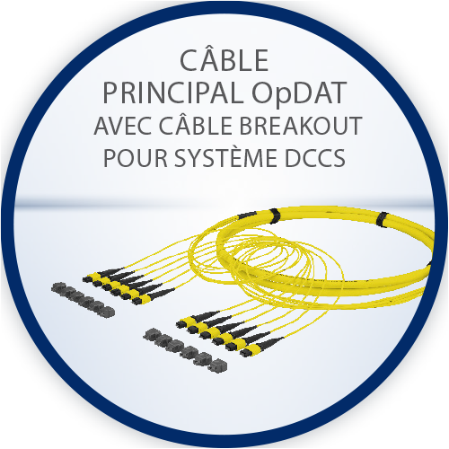 Câble principal OpDAT avec câble breakout pour système DCCS