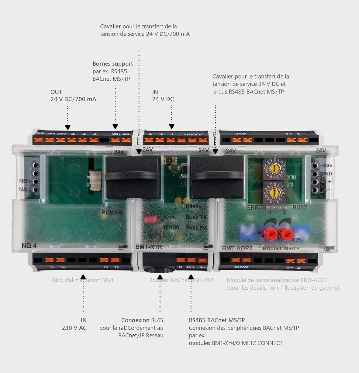 Module de sortie analogique avec connexion par bornier à ressort (push-in)