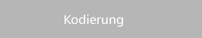 Kodierungen