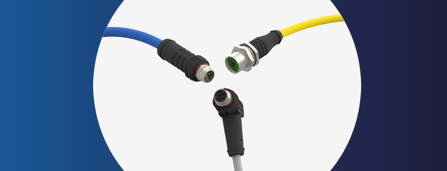M12 Push-Pull Steckverbinder nach IEC 61076-2-010