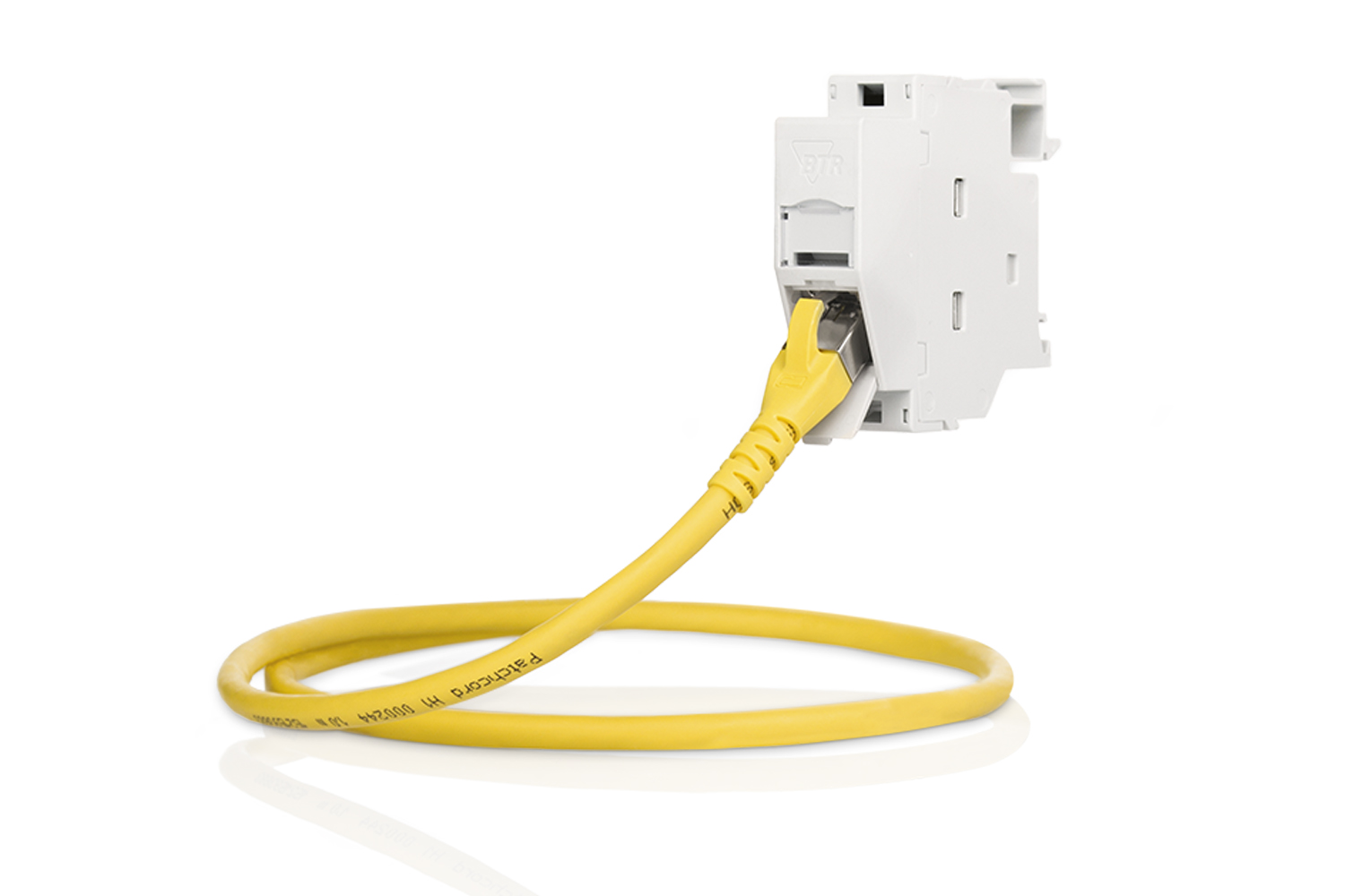 REGplus